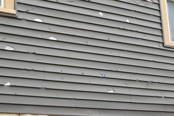 Best Garage Cleanout  in South Bend, IN